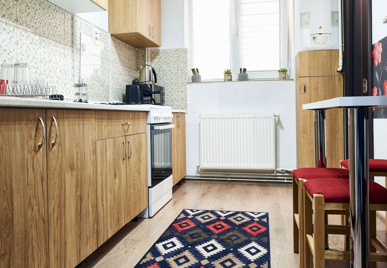 Apartment in Brasov - Equipped and Furnished Apartment with 2 bedrooms close to the center