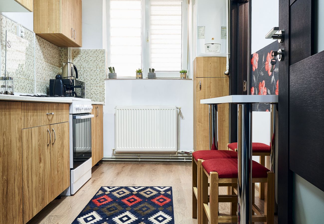 Apartment in Brasov - Equipped and Furnished Apartment with 2 bedrooms close to the center