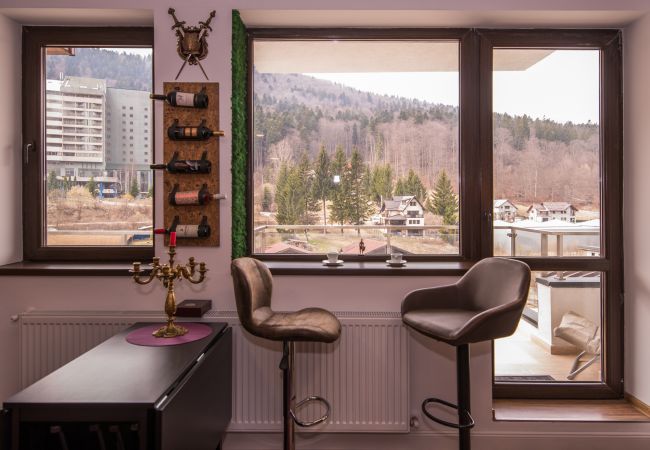 Apartment in Sinaia - Castle Suite art design- mountain view and private parking Apartment in Sinaia - Castle Suite art design- mountain view and private parking
