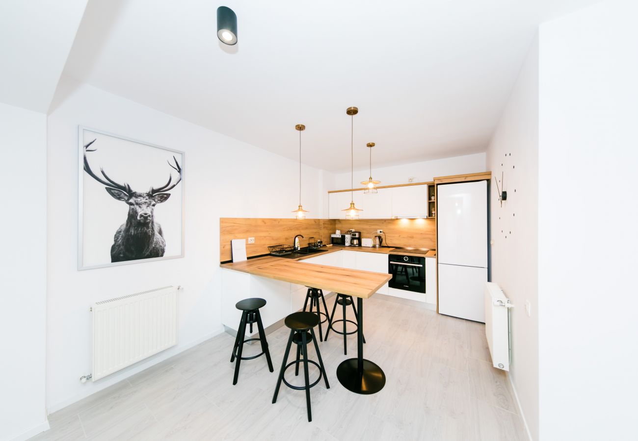 Studio in Predeal - Boutique Studio close to the ski slope Clabucet Predeal