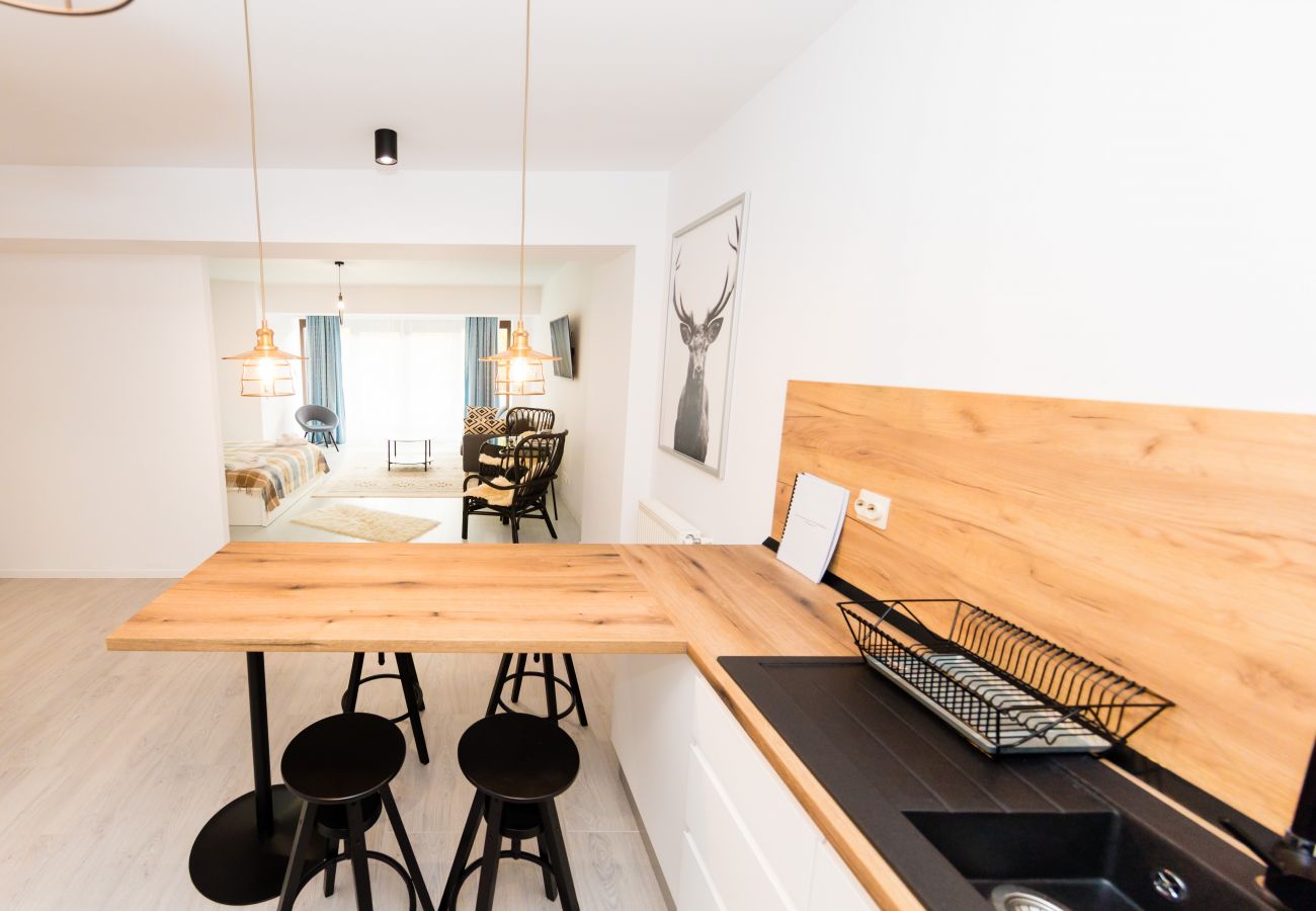 Studio in Predeal - Boutique Studio close to the ski slope Clabucet Predeal