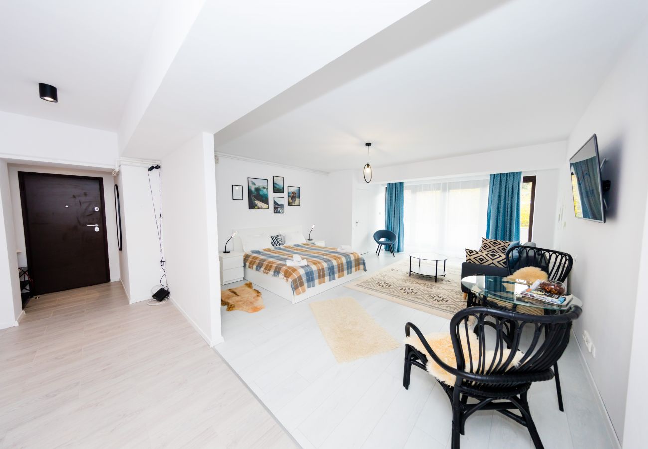 Studio in Predeal - Boutique Studio close to the ski slope Clabucet Predeal