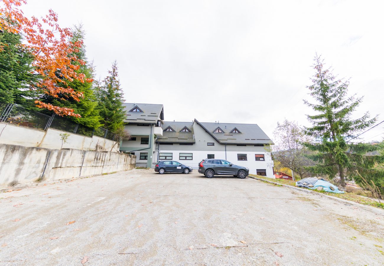 Studio in Predeal - Boutique Studio close to the ski slope Clabucet Predeal