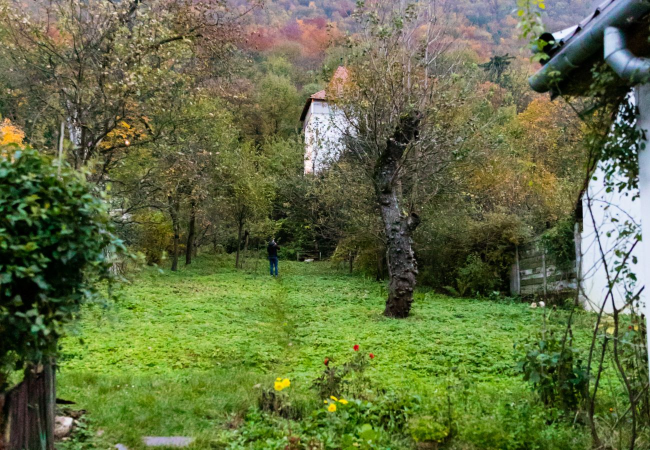 Studio in Brasov -  Koncept Studio near Piata Sfatului Brasov