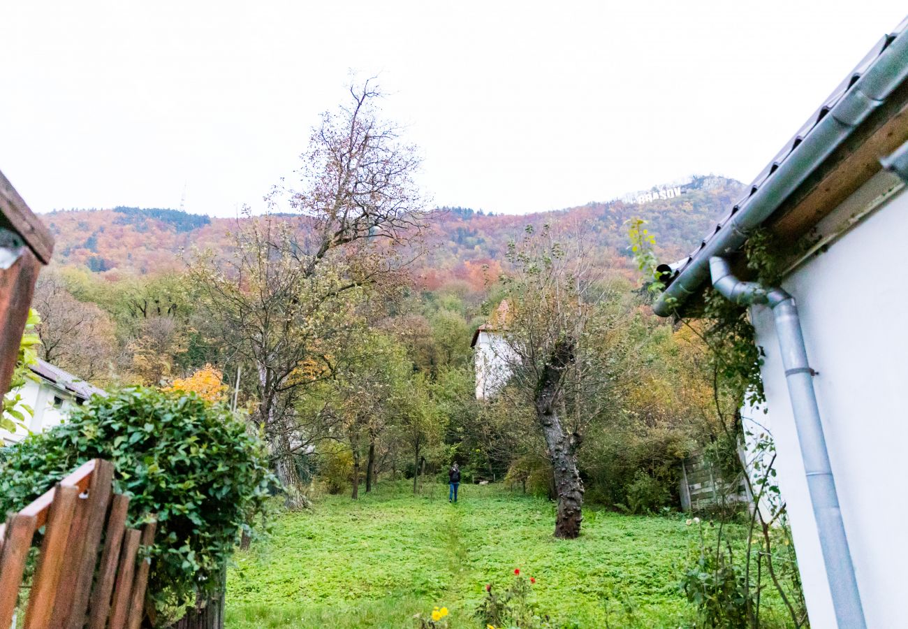 Studio in Brasov -  Koncept Studio near Piata Sfatului Brasov