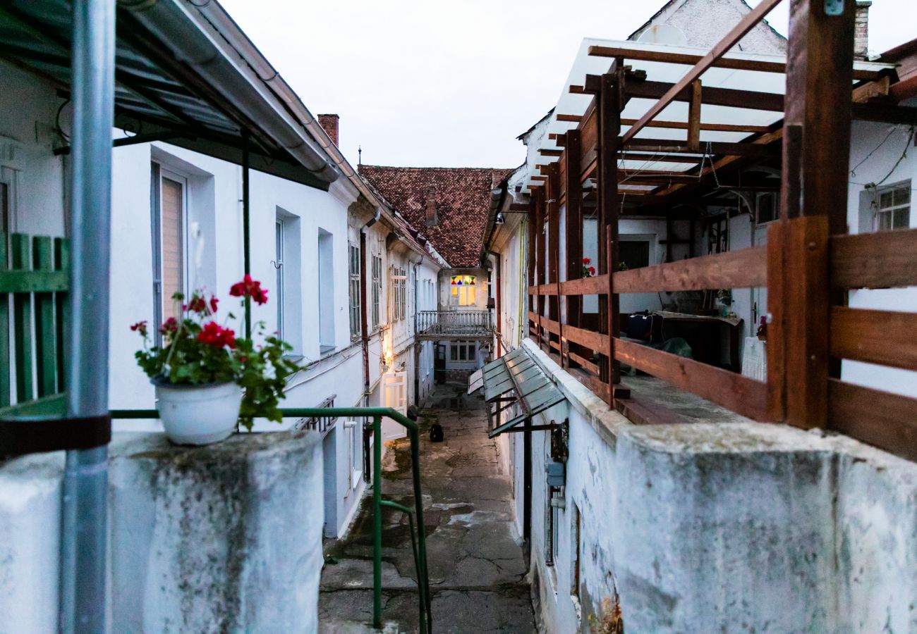 Studio in Brasov -  Koncept Studio near Piata Sfatului Brasov