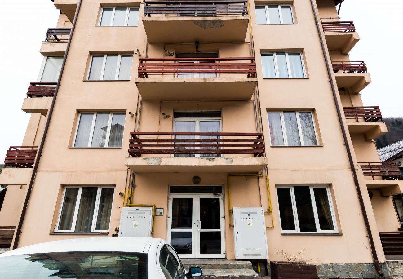 Apartment in Sinaia - Apartment Datcu with balcony mountain view