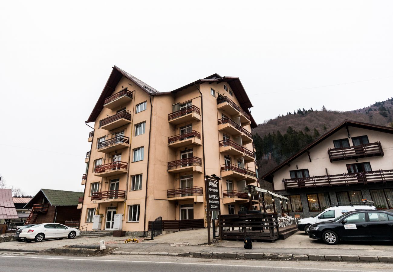 Apartment in Sinaia - Apartment Datcu with balcony mountain view