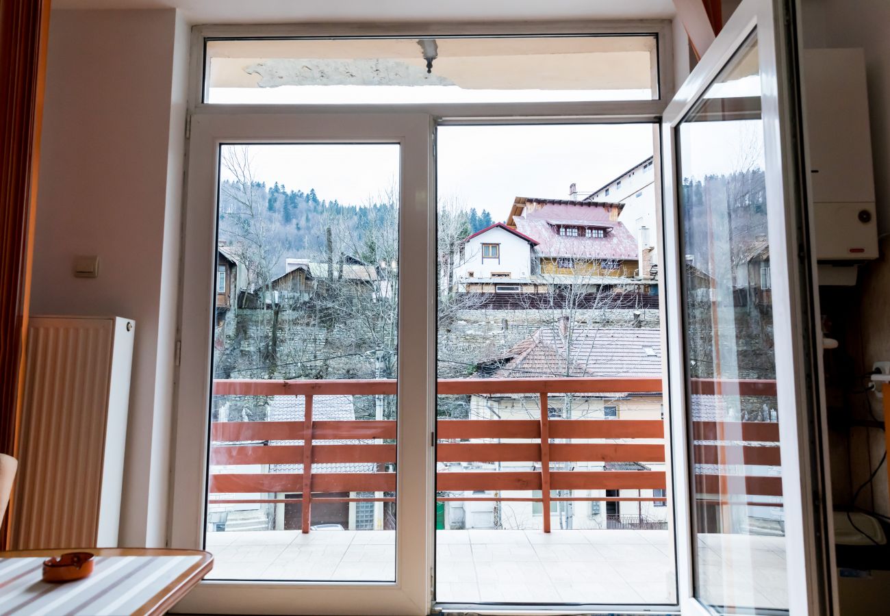 Apartment in Sinaia - Apartment Datcu with balcony mountain view