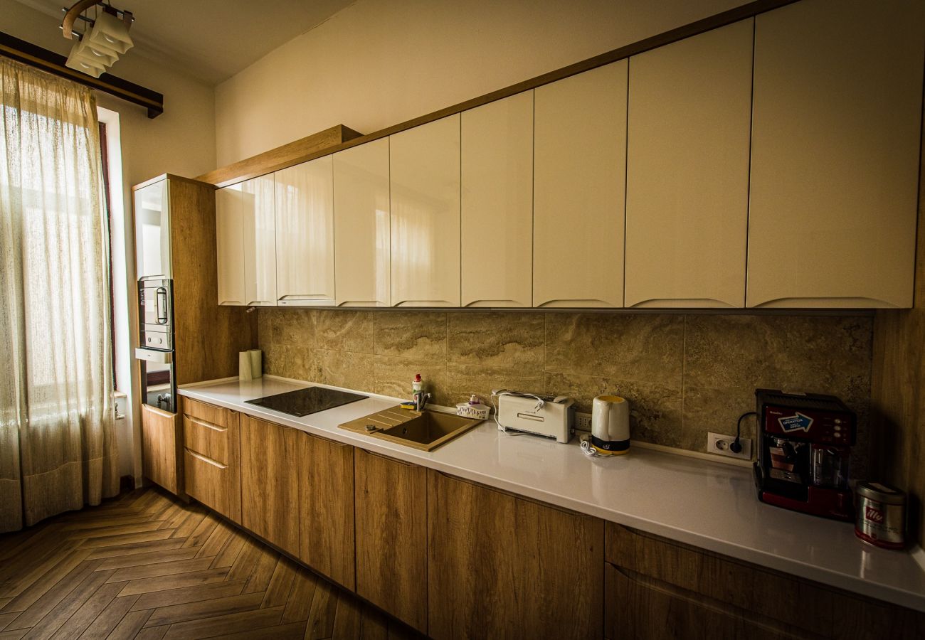 Apartment in Oradea - Downtown Fuchsl Palace in center Oradea