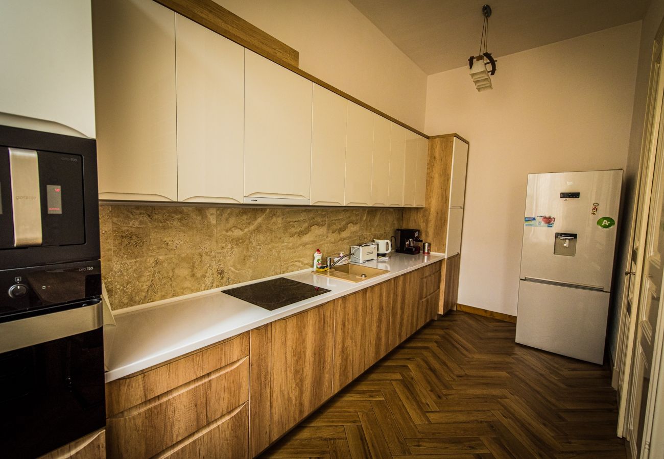 Apartment in Oradea - Downtown Fuchsl Palace in center Oradea