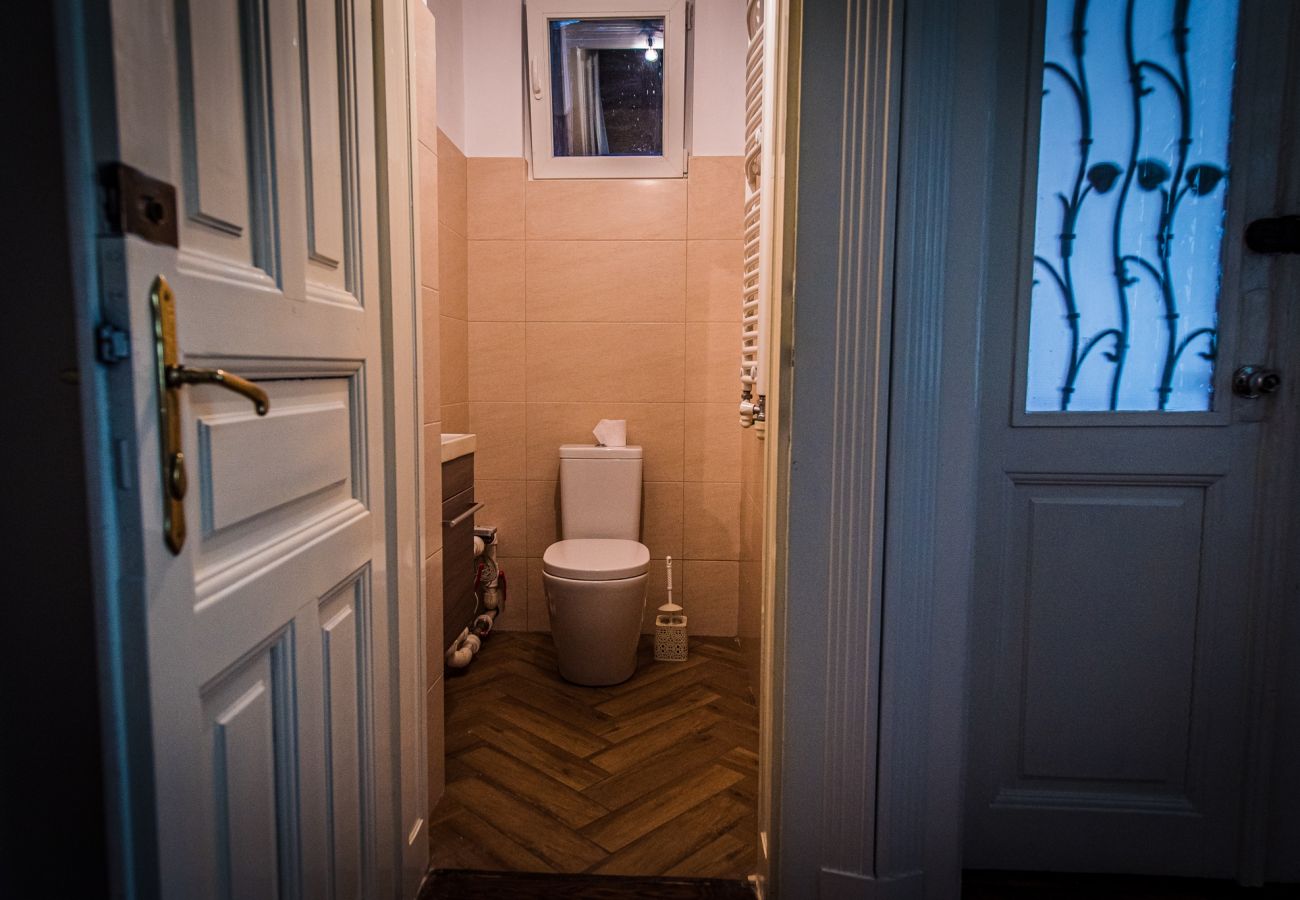 Apartment in Oradea - Downtown Fuchsl Palace in center Oradea