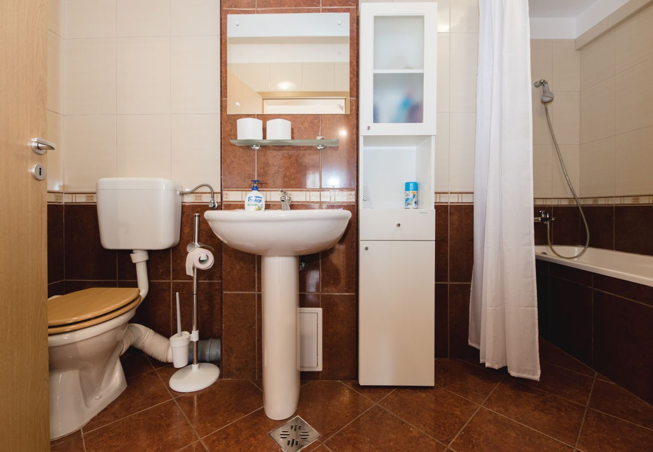 Apartment in Brasov - Apartment 1 bedroom  with mountain view Tampa