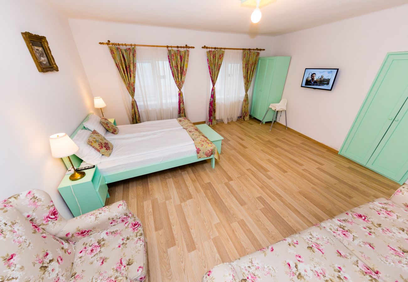 Apartment in Sibiu - One Bedroom Apartment near to the Piata Mica