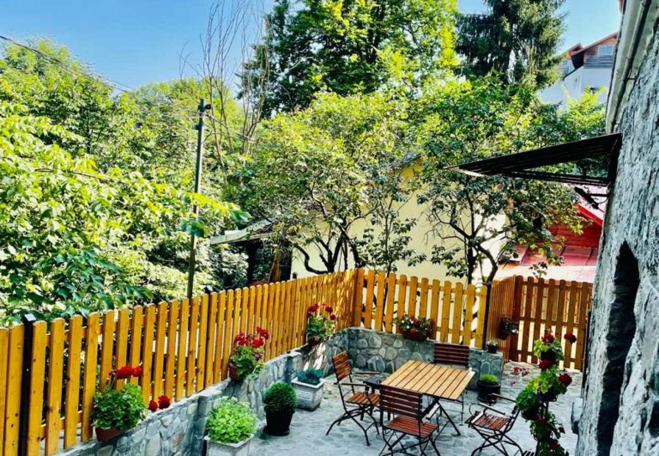 House in Sinaia - Apartment Carol private yard with barbeque and parking