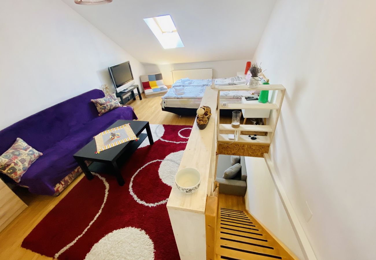 Apartment in Sibiu - Double Studio close to the Center Sibiu