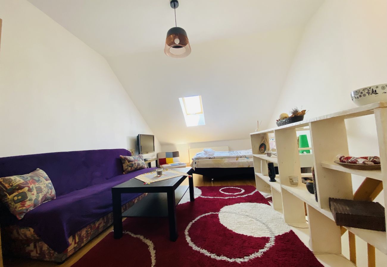 Apartment in Sibiu - Double Studio close to the Center Sibiu