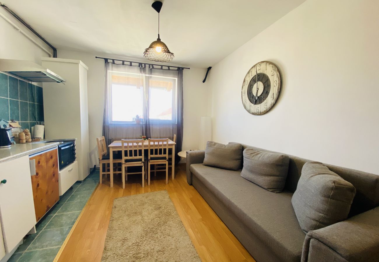 Apartment in Sibiu - Double Studio close to the Center Sibiu