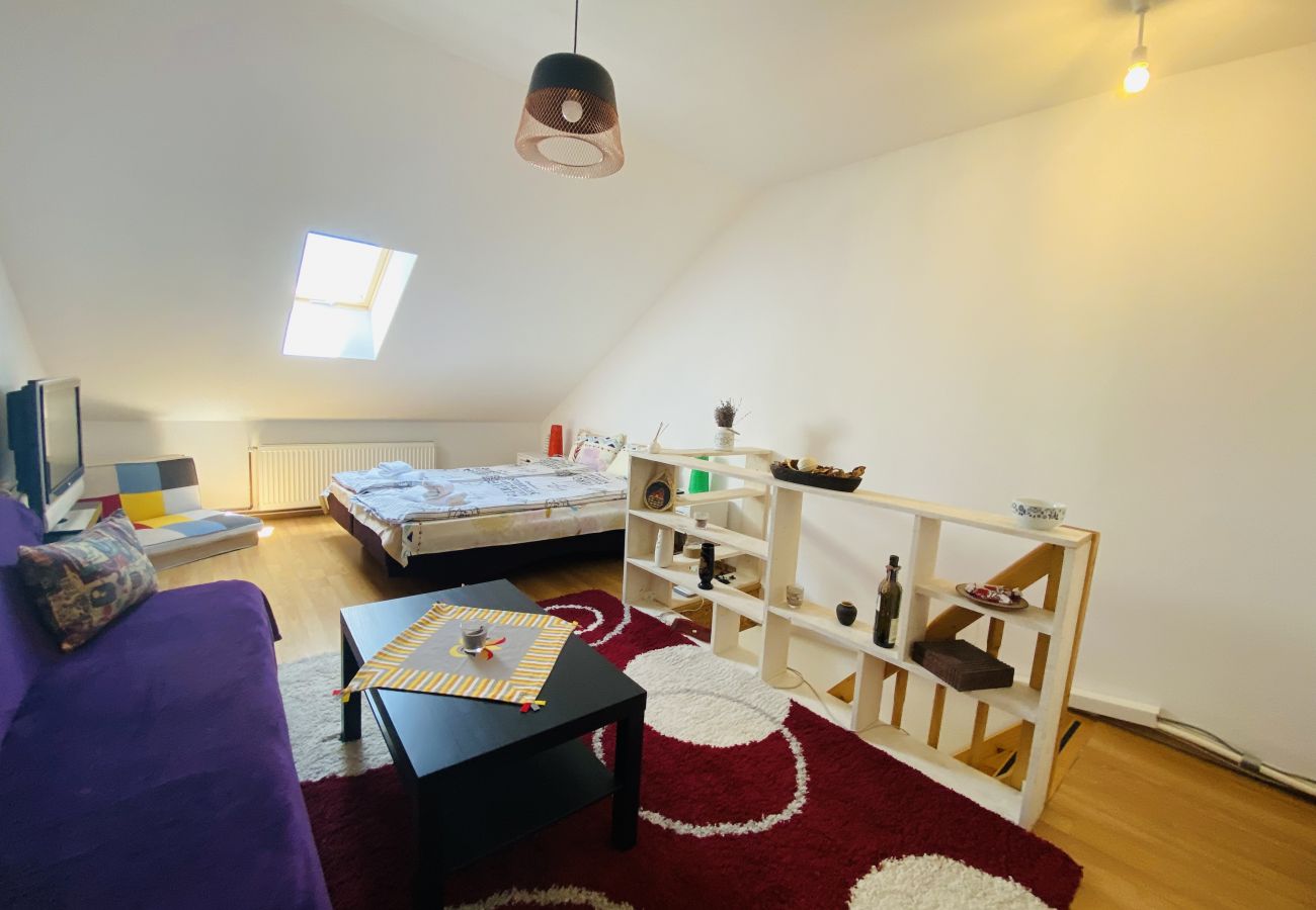 Apartment in Sibiu - Double Studio close to the Center Sibiu