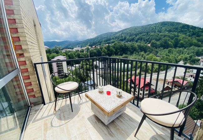 Apartment in Sinaia - Deluxe Apartment with balcony panoramic view Apartment in Sinaia - Deluxe Apartment with balcony panoramic view