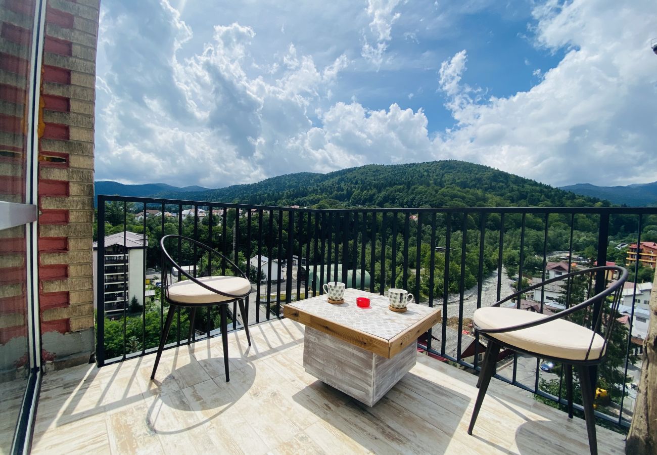 Apartment in Sinaia - Deluxe Apartment with balcony panoramic view