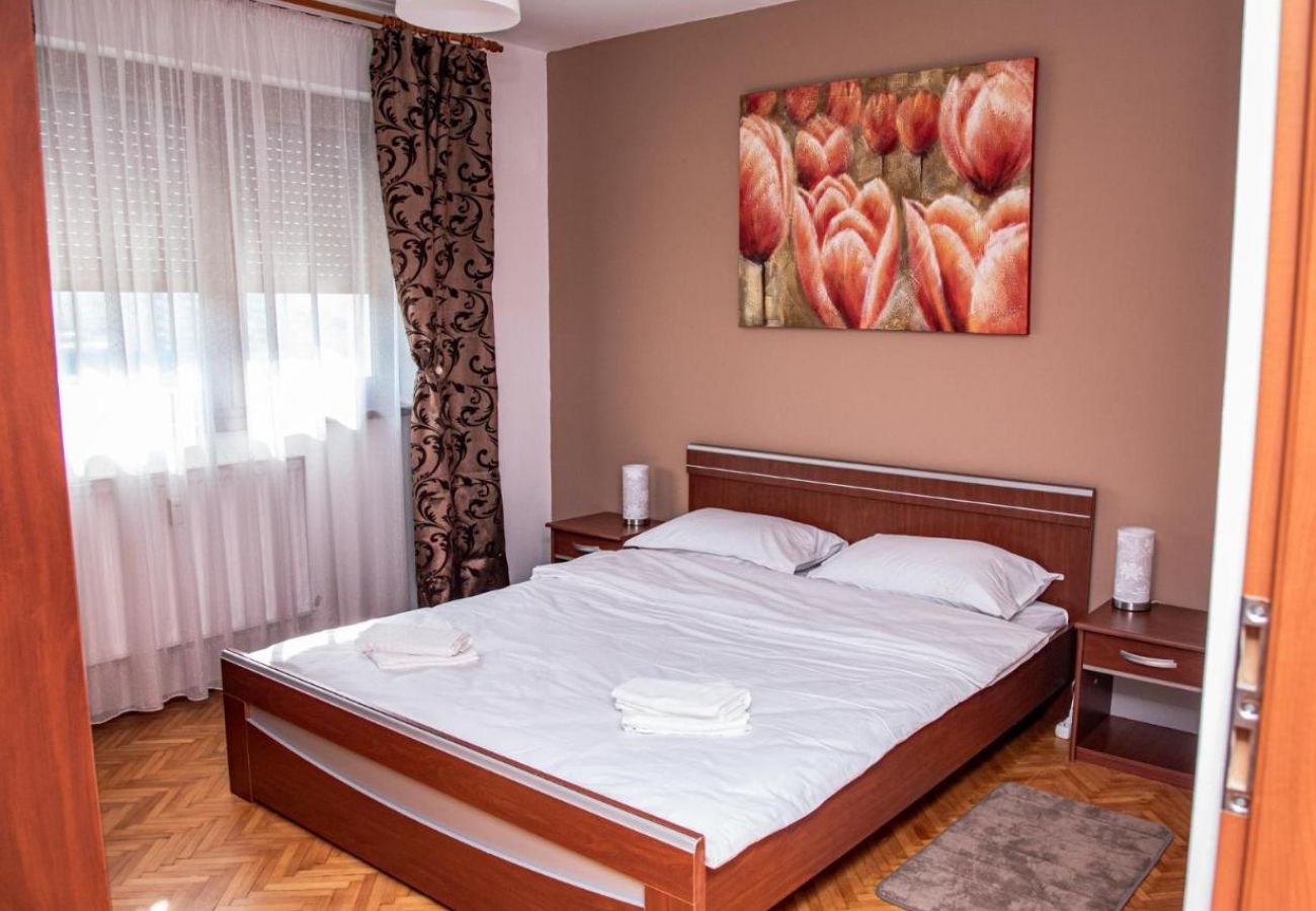 Apartment in Cluj Napoca - One Bedroom Apartment close to the center Cluj Napoca