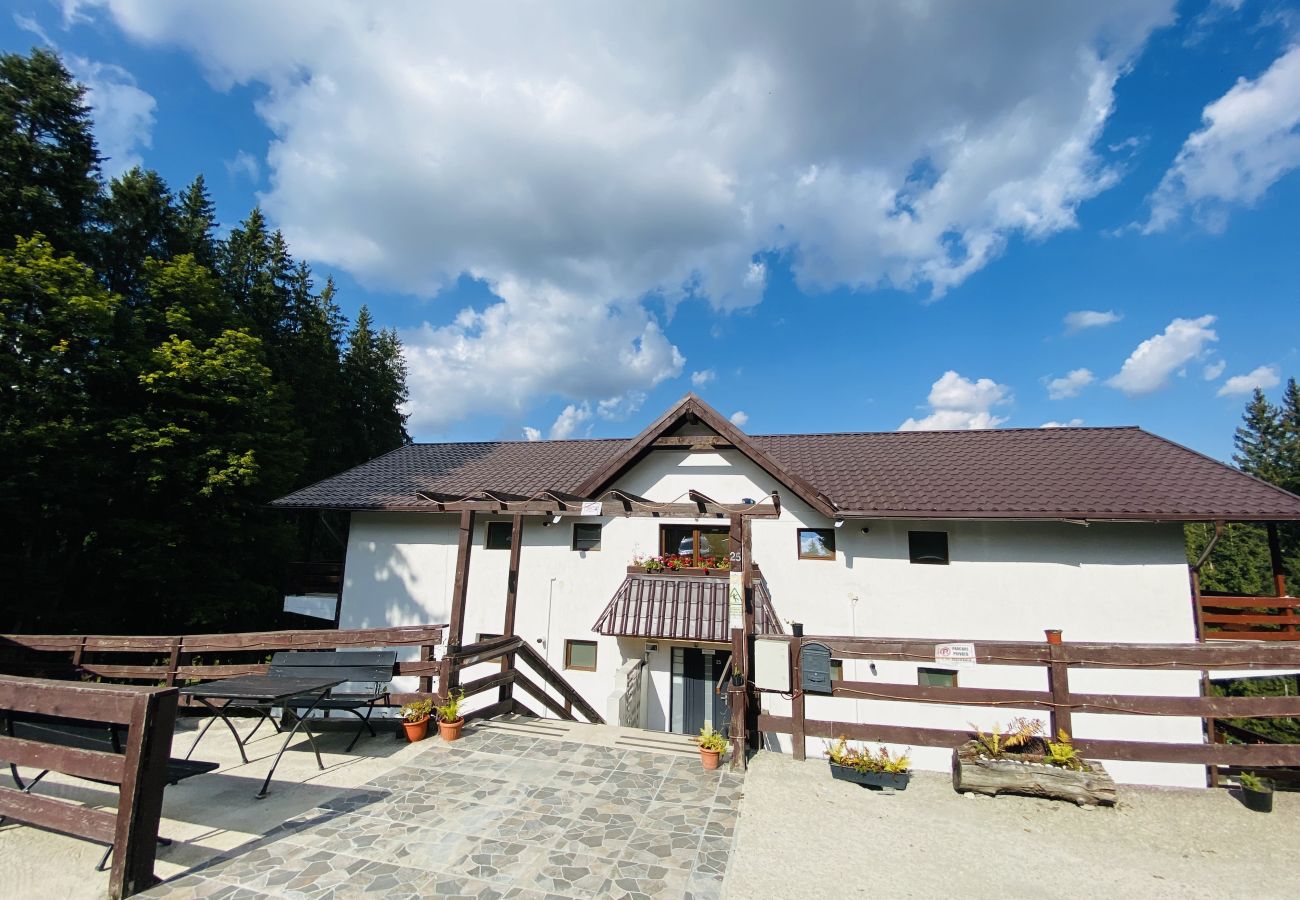 Studio in Predeal - Cozy Studio with Balcony Panoramic Mountain View