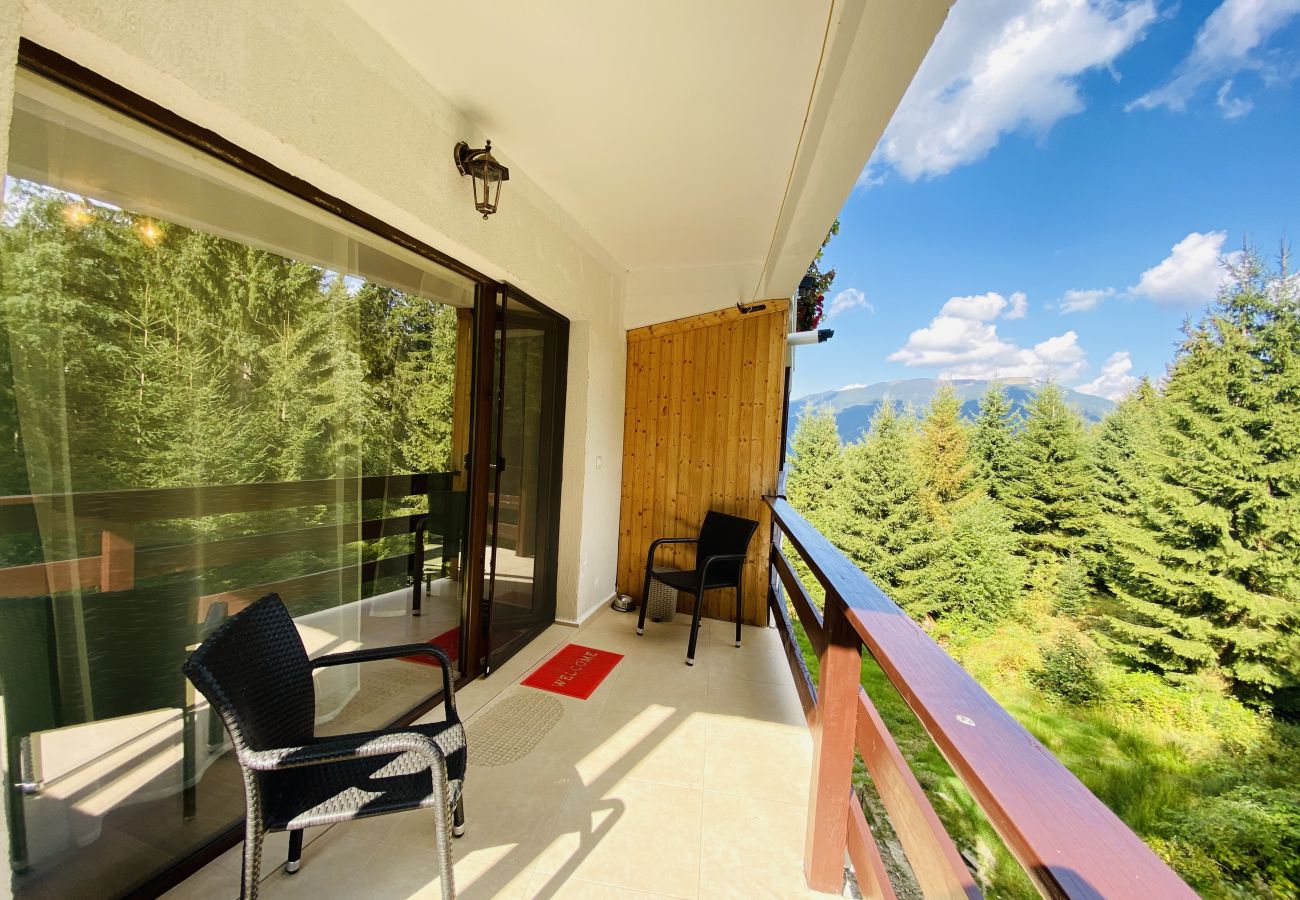 Studio in Predeal - Cozy Studio with Balcony Panoramic Mountain View