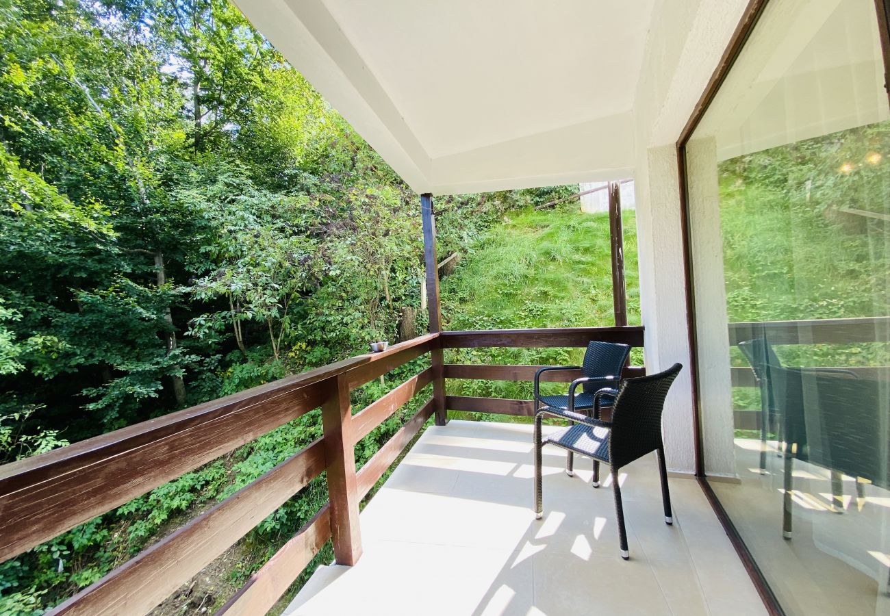 Studio in Predeal - Cozy Studio with Balcony Panoramic Mountain View