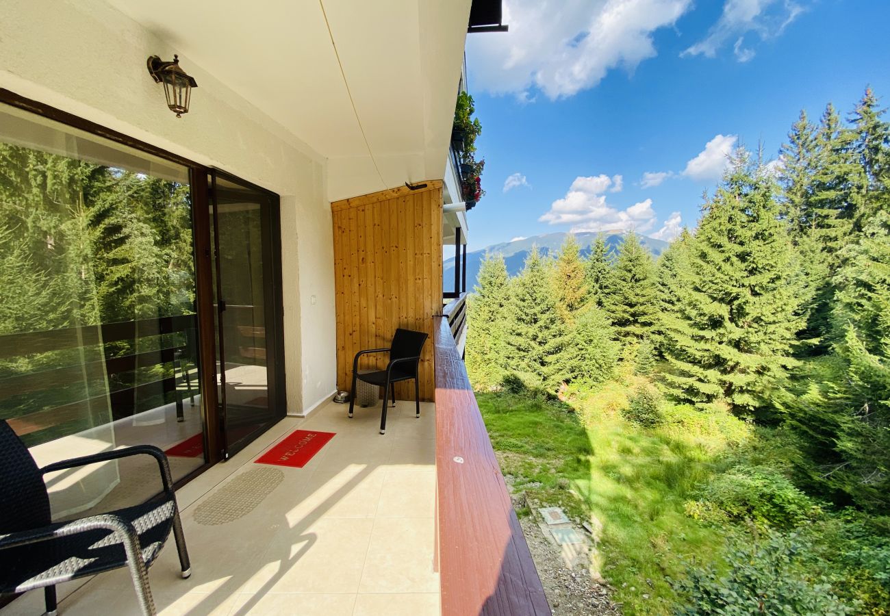 Studio in Predeal - Cozy Studio with Balcony Panoramic Mountain View