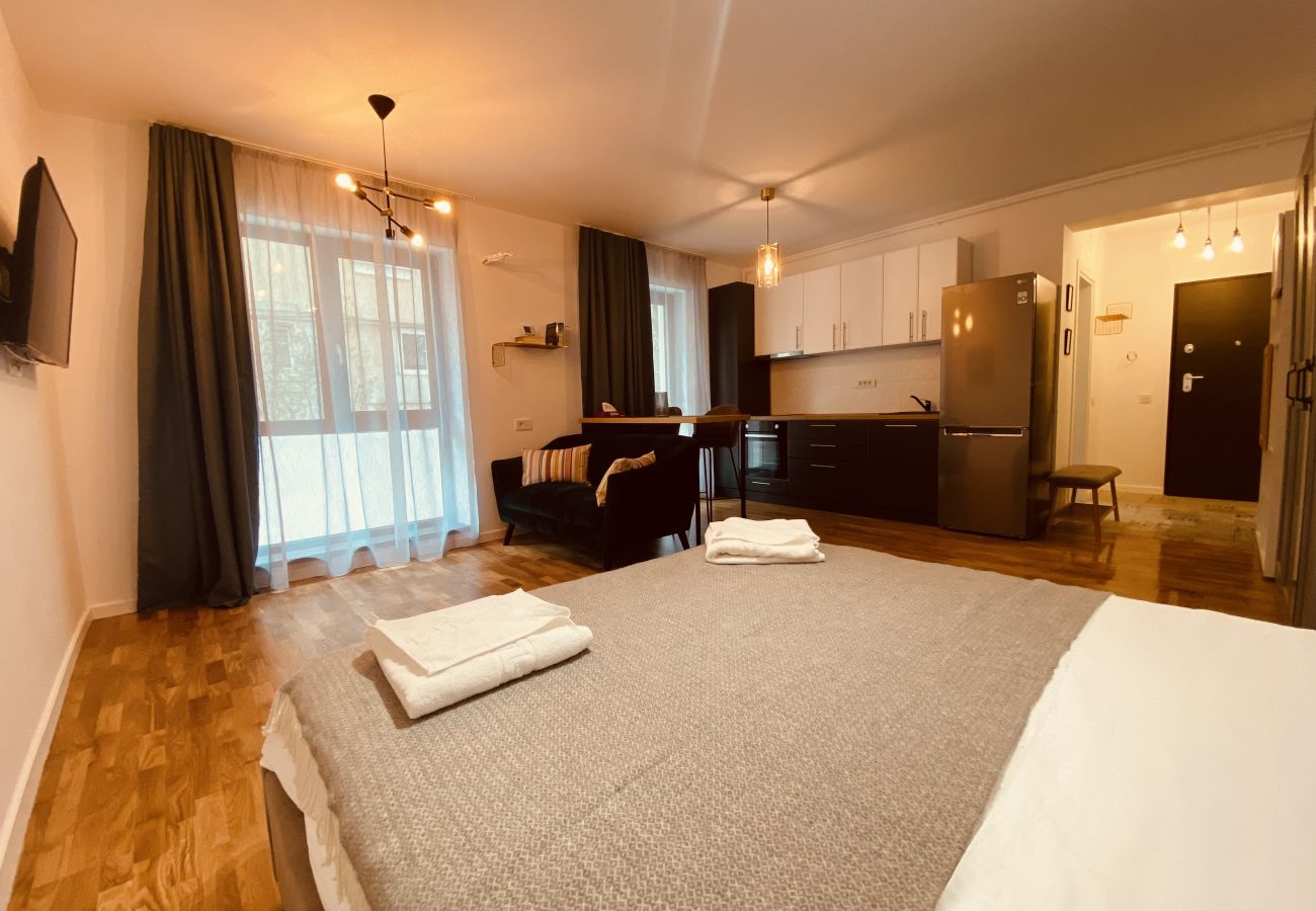 Studio in Bucharest - Charming Studio close to Unirii Square
