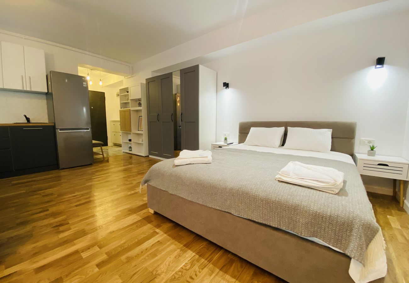 Studio in Bucharest - Charming Studio close to Unirii Square
