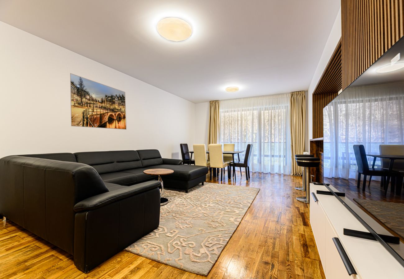 Apartment in Brasov - One Bedroom in Tampa Gardens 