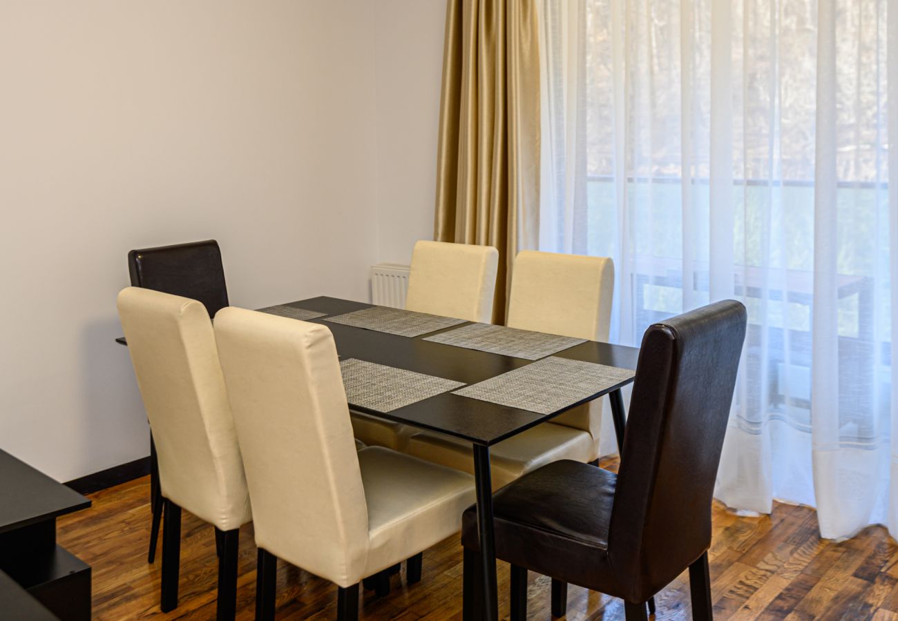 Apartment in Brasov - One Bedroom in Tampa Gardens 