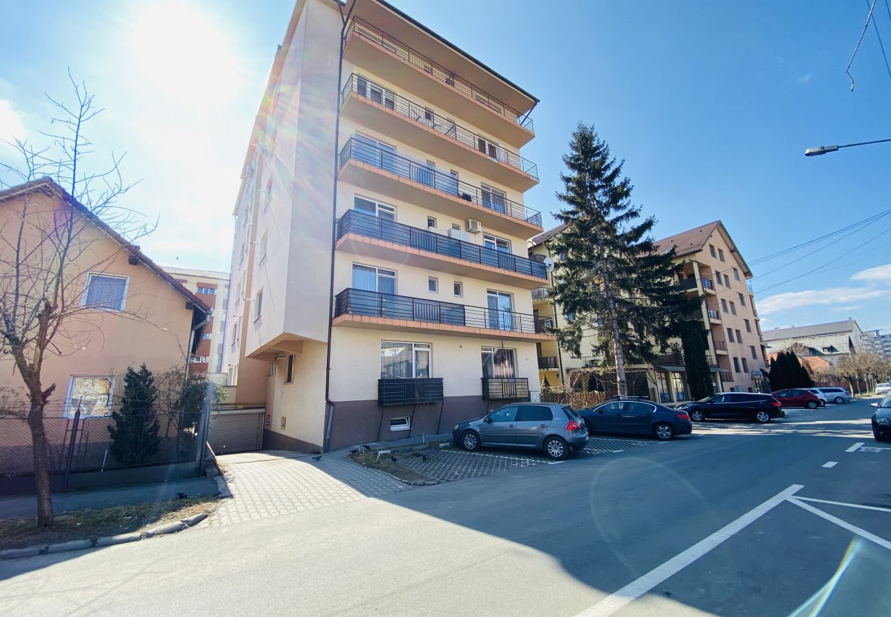 Apartment in Bistrita - Charming Flat in Bistrita close to the center