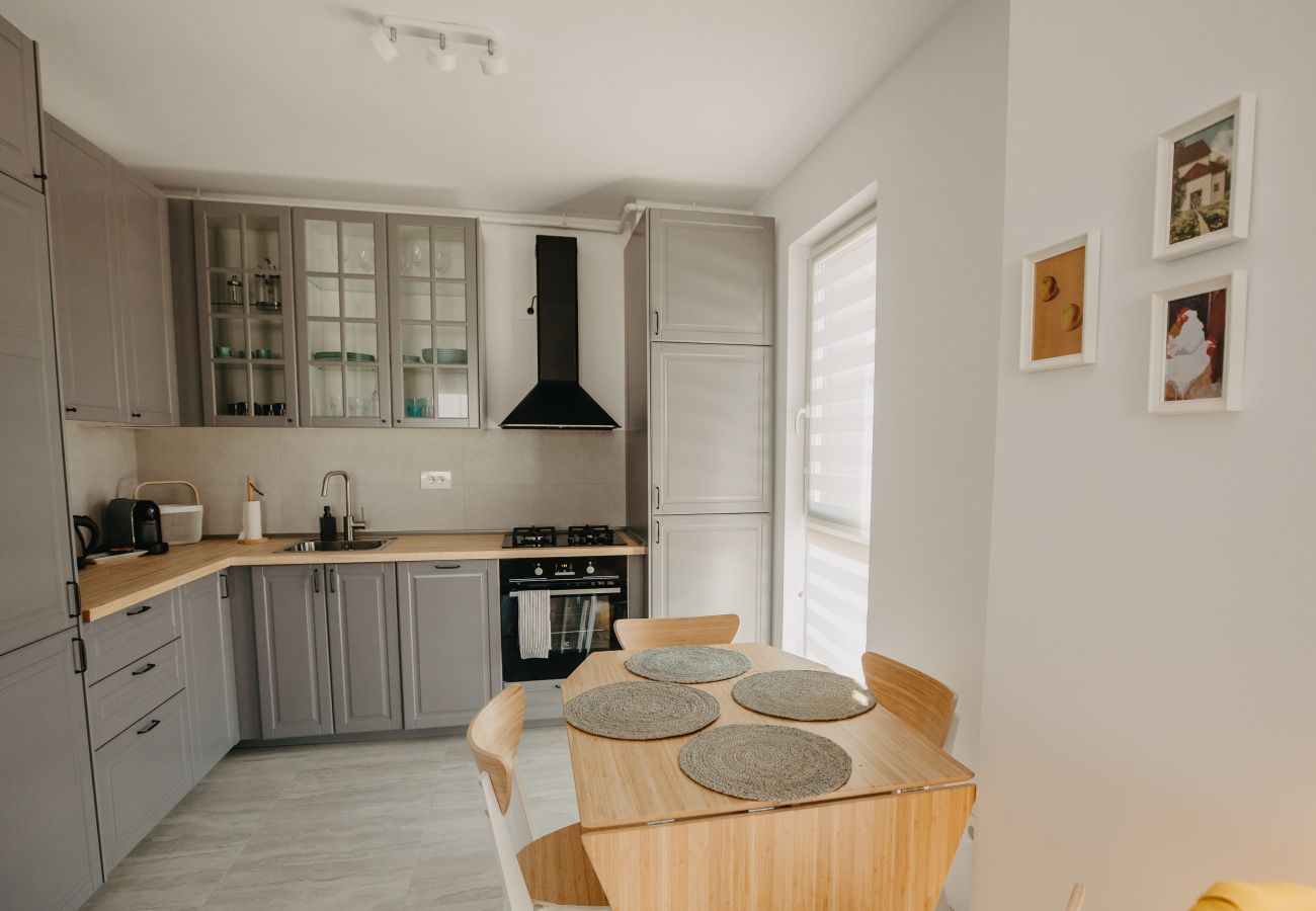Apartment in Timisoara - Charming Flat with balcony & private parking