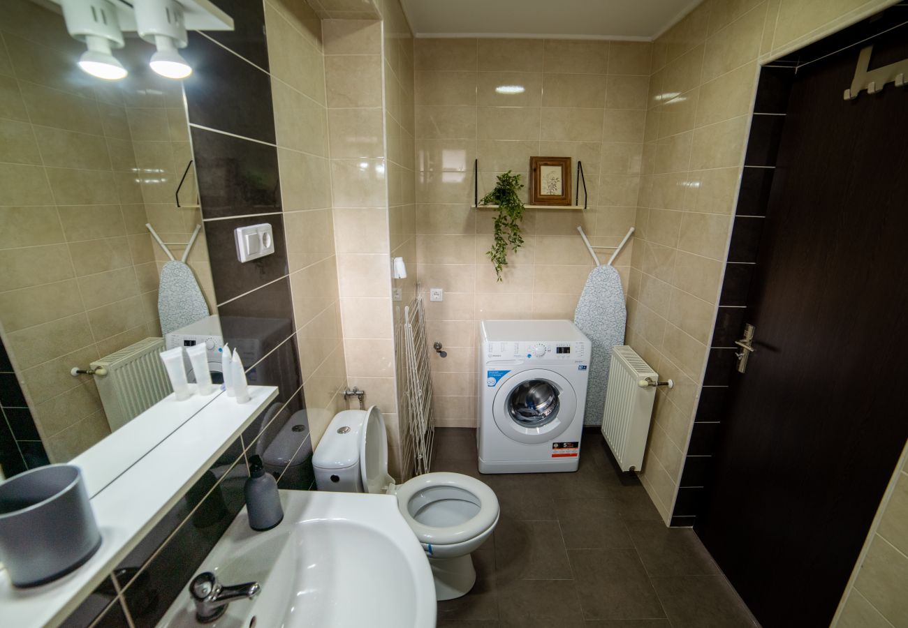 Apartment in Baia Mare - Central Two Bedroom Apartment