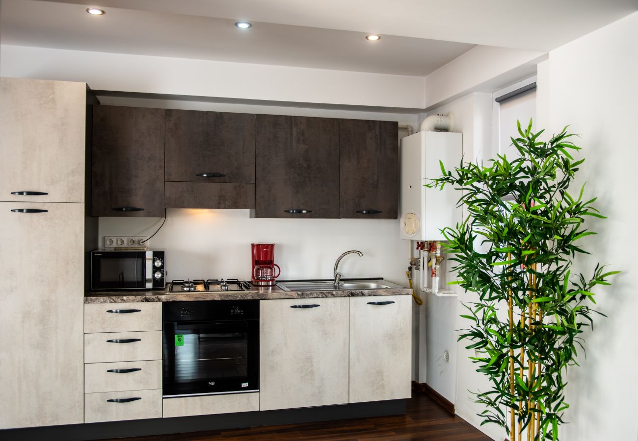 Apartment in Baia Mare - Central Two Bedroom Apartment