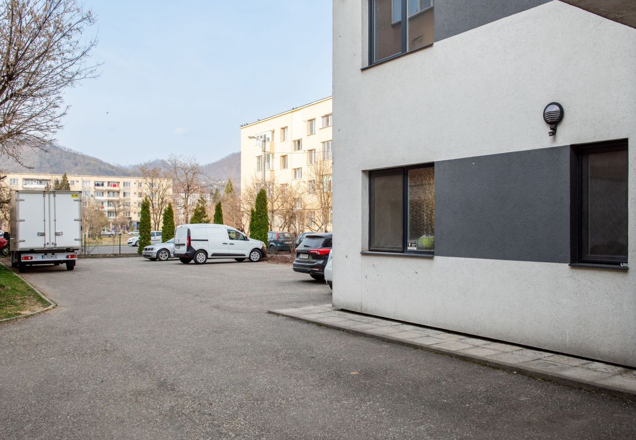Apartment in Baia Mare - Central Two Bedroom Apartment