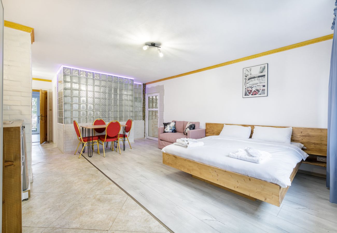 Studio in Bistrita - Double Studio with Garden 