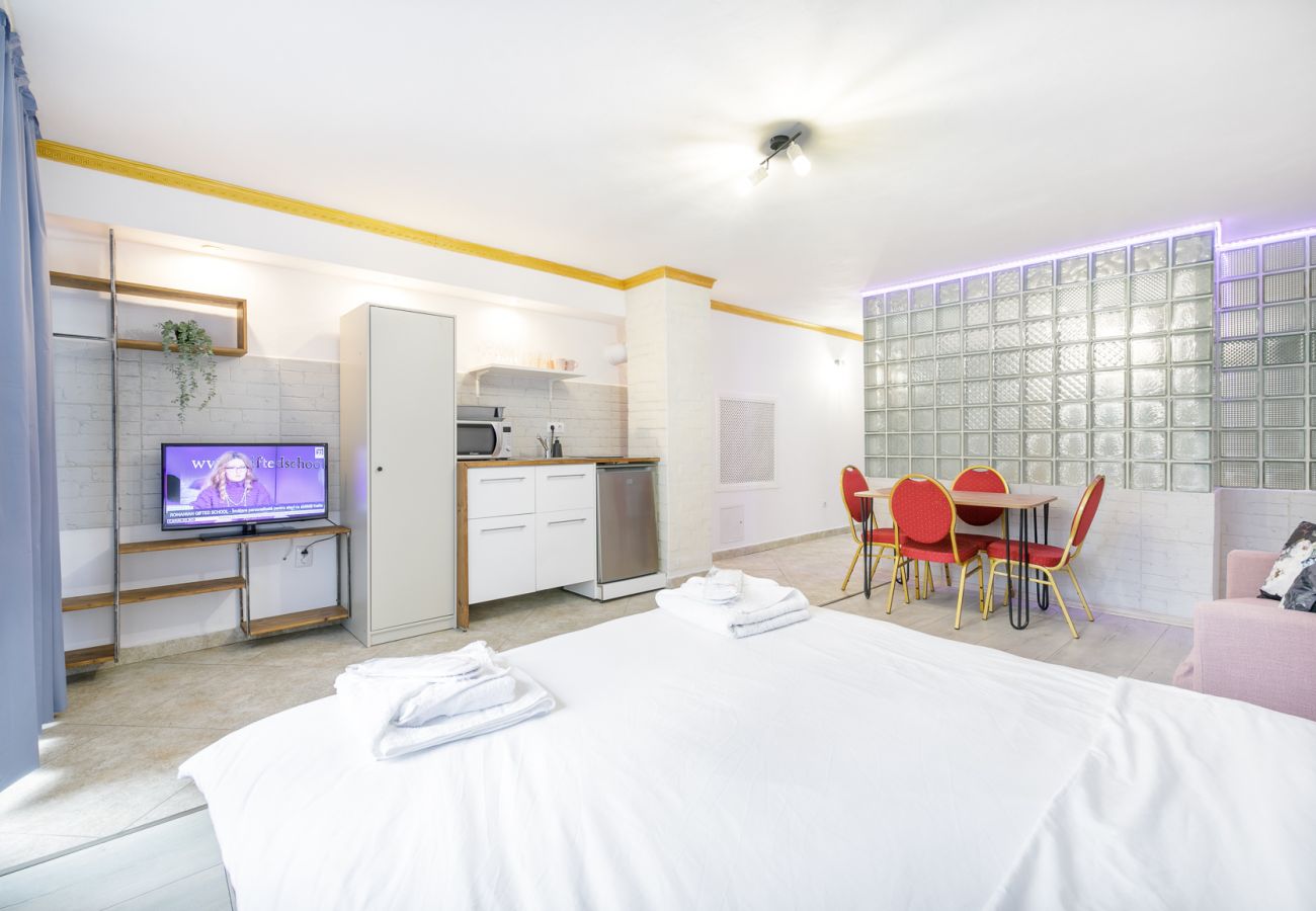 Studio in Bistrita - Double Studio with Garden 