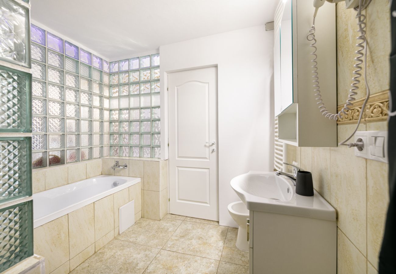 Studio in Bistrita - Double Studio with Garden 