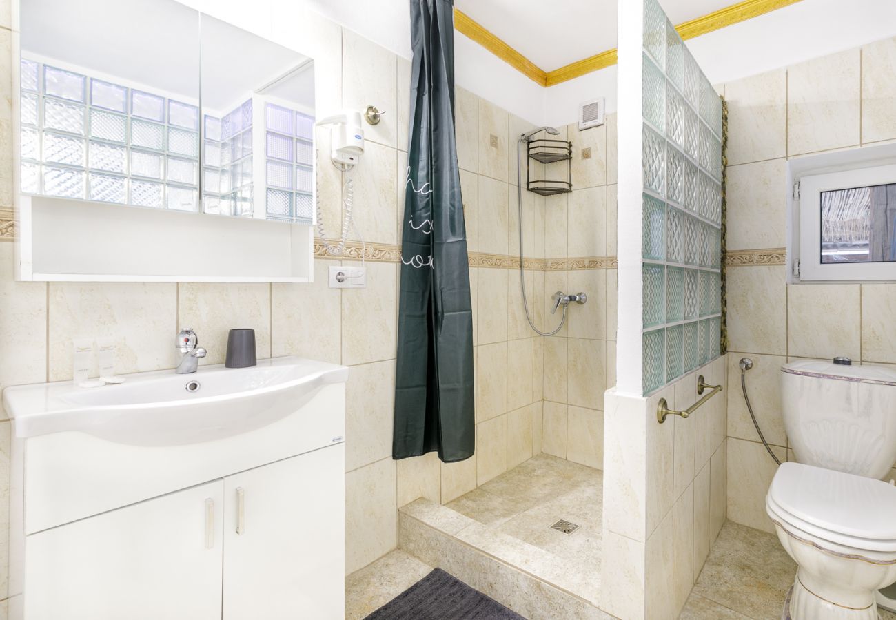 Studio in Bistrita - Double Studio with Garden 