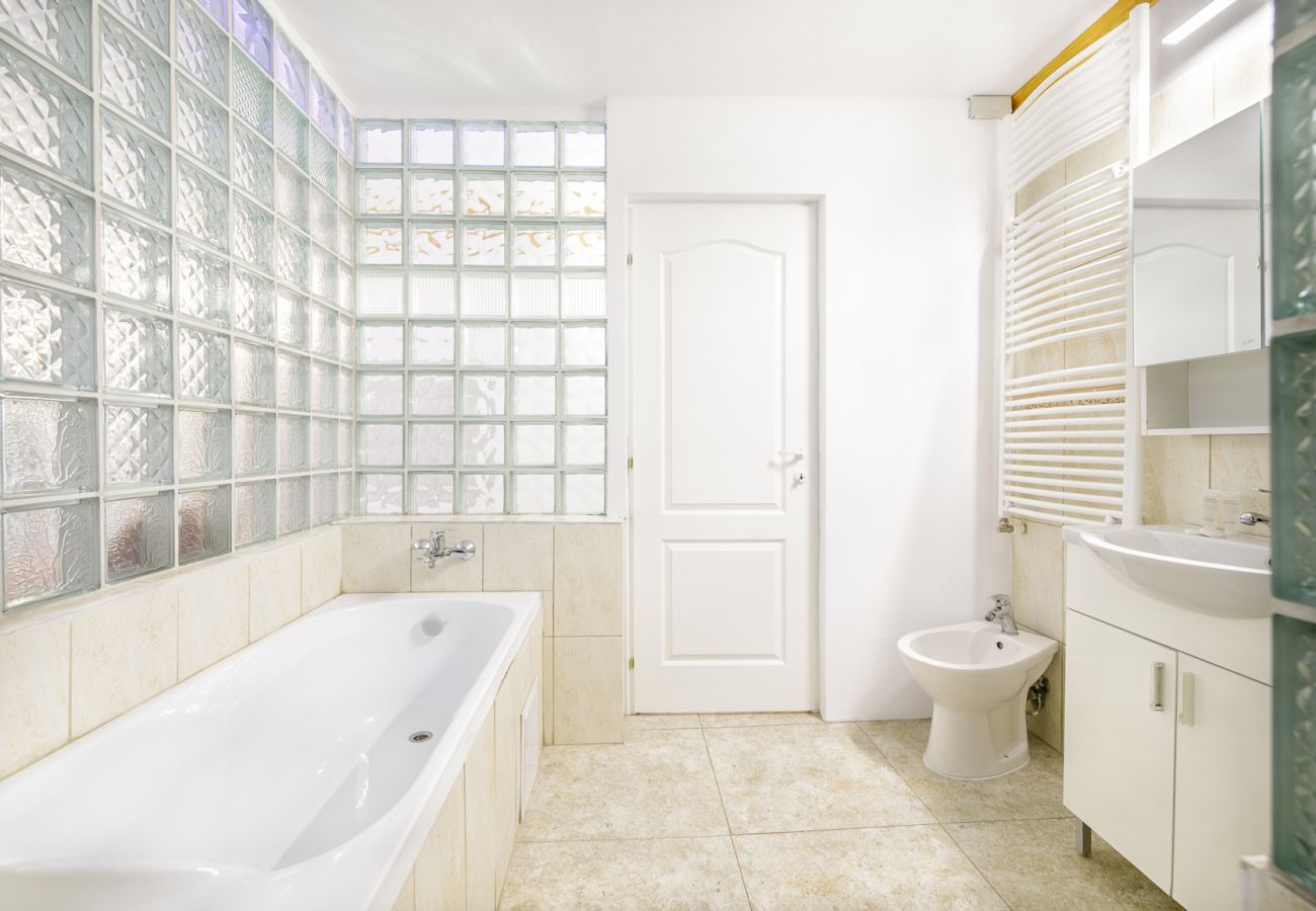 Studio in Bistrita - Double Studio with Garden 