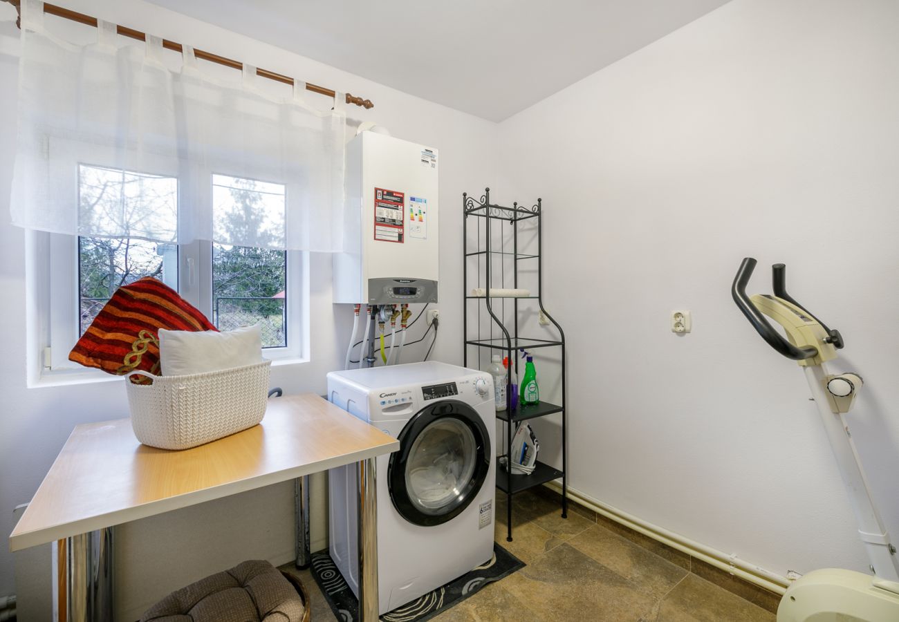 Studio in Bistrita - Double Studio with Garden 