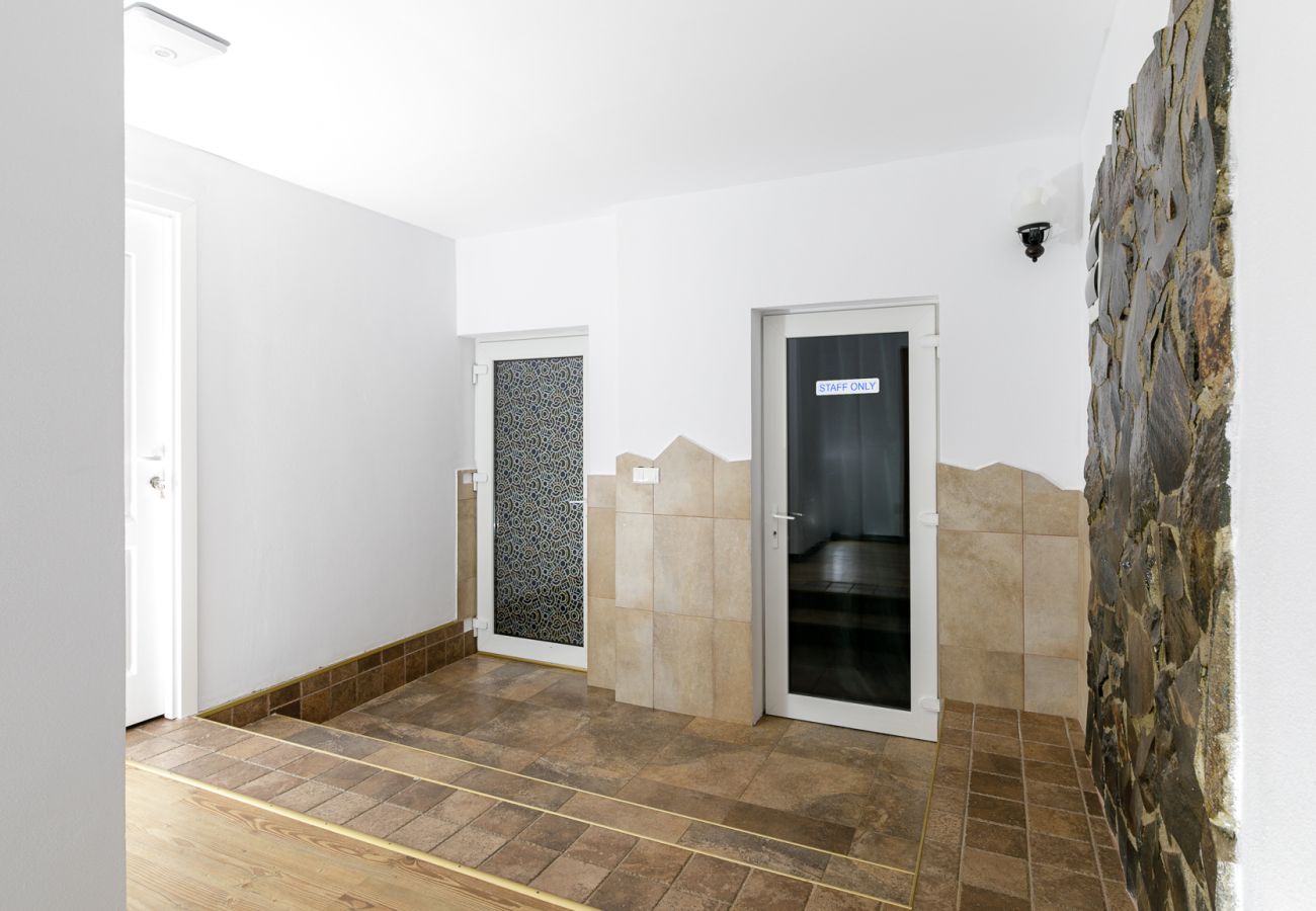 Studio in Bistrita - Double Studio with Garden 