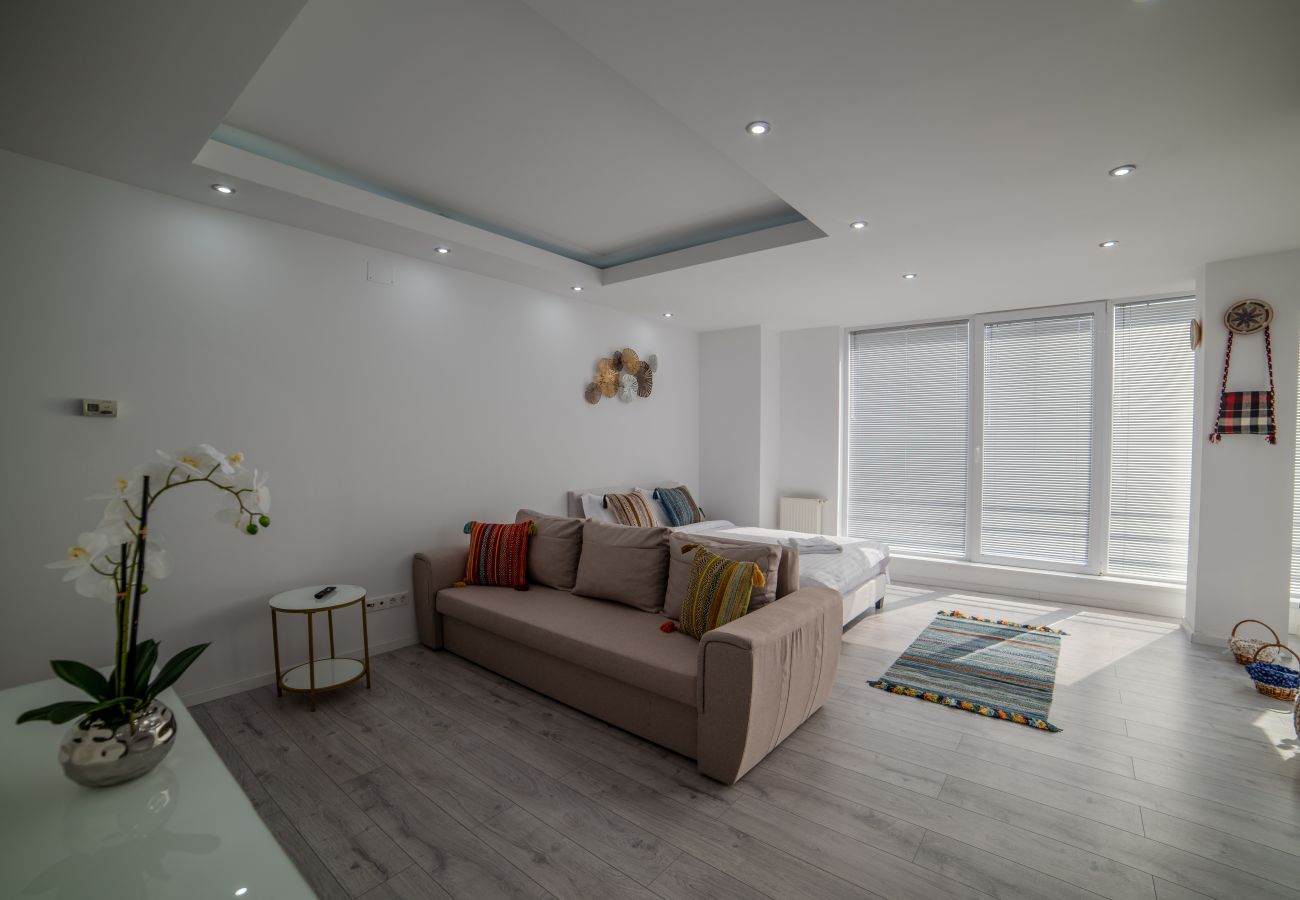 Studio in Baia Mare - Charming Studio close to the center