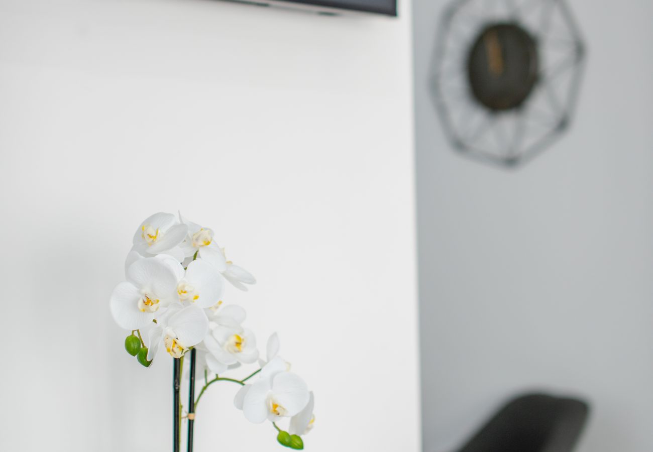 Studio in Baia Mare - Charming Studio close to the center
