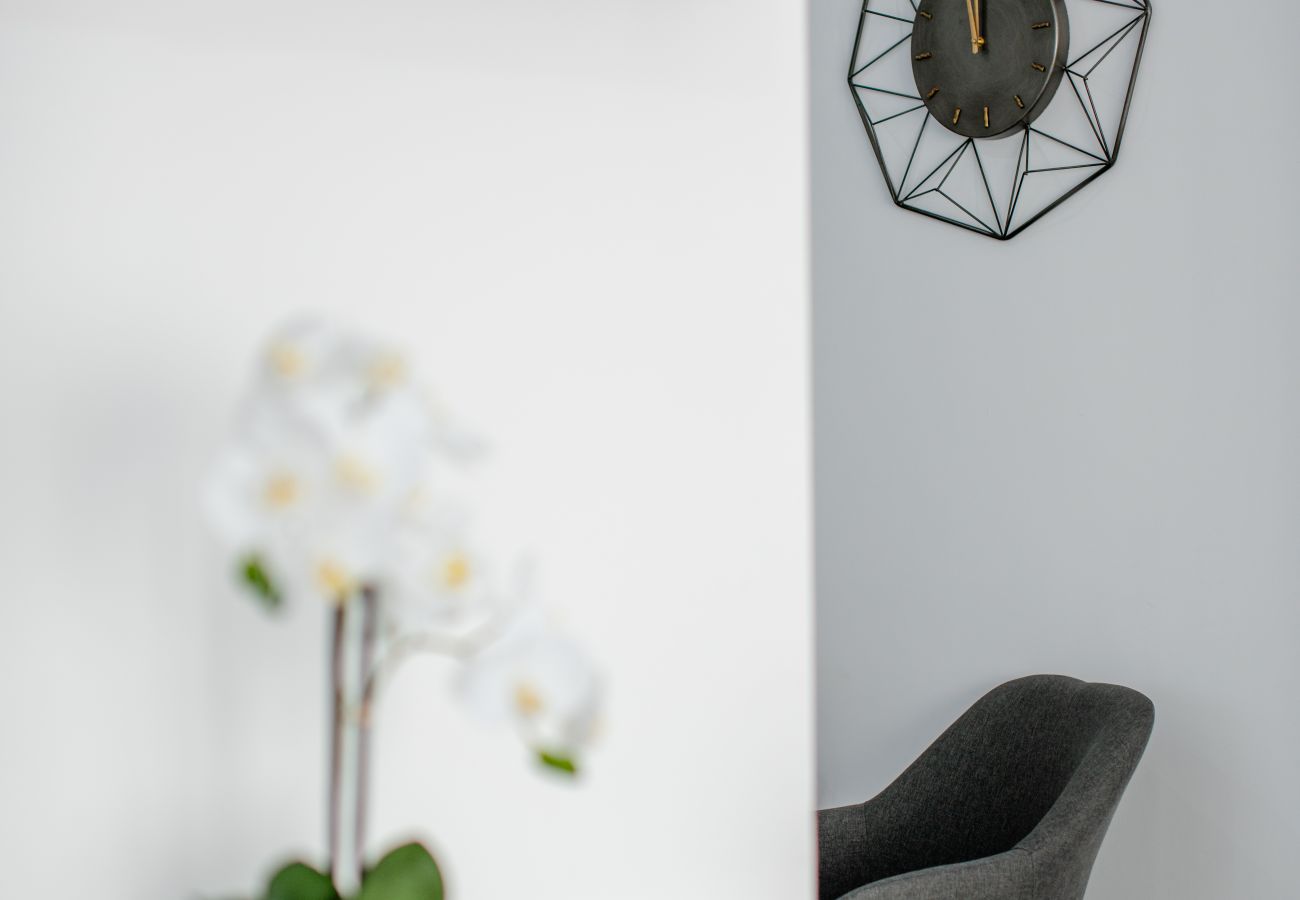 Studio in Baia Mare - Charming Studio close to the center