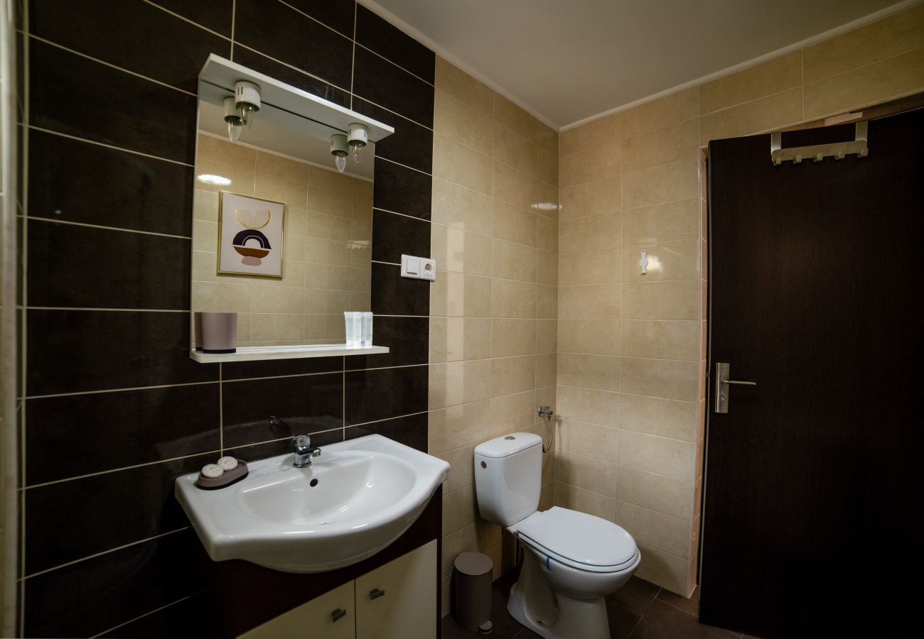 Studio in Baia Mare - Charming Studio close to the center